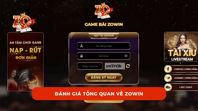 Đánh giá tổng quan về ZOWIN